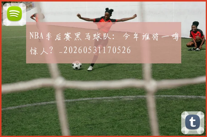 NBA季后赛黑马球队：今年谁将一鸣惊人？_20260531170526