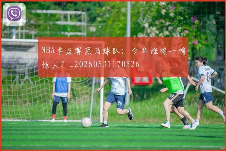 NBA季后赛黑马球队：今年谁将一鸣惊人？_20260531170526