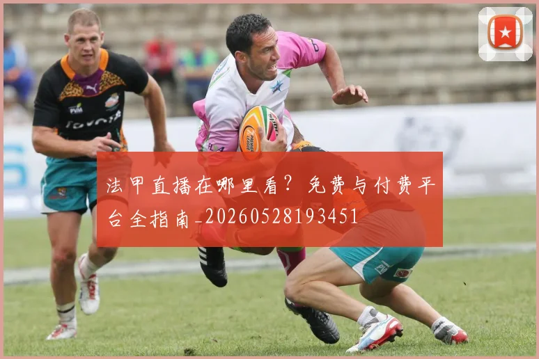 法甲直播在哪里看？免费与付费平台全指南_20260528193451